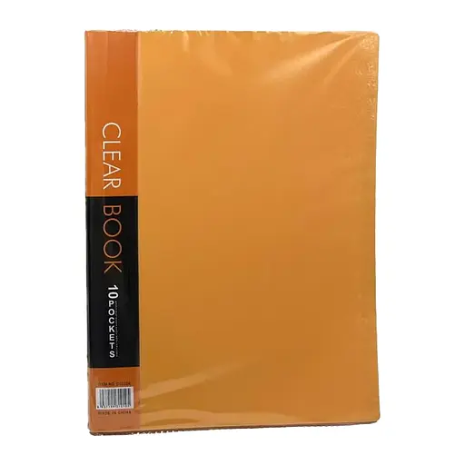 Папка, А4, 10 файлів, 50 мкм+3 мкм, 23.5x31 см, D-1010-A (В асортименті)