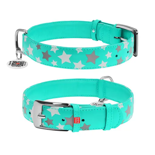 Ошейник для собак кожаный Waudog Glamour с QR-паспортом узор "Звездочка" светонакопительный/светоотражающий XL Ш 35