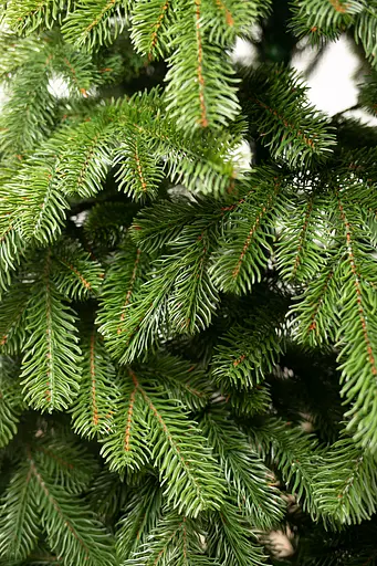 Искусственная елка EverLume VIP литая 210 см - фото 3