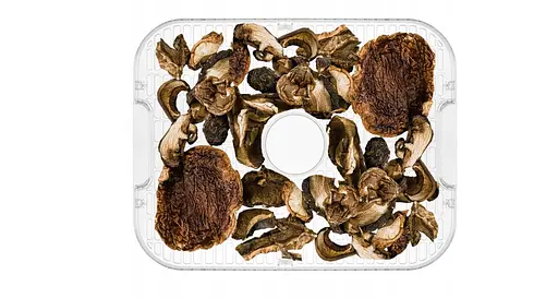 Сушилка для овощей фруктов ягод и снеков дегидратор Mozano PRO Food Dryer 450W - фото 8