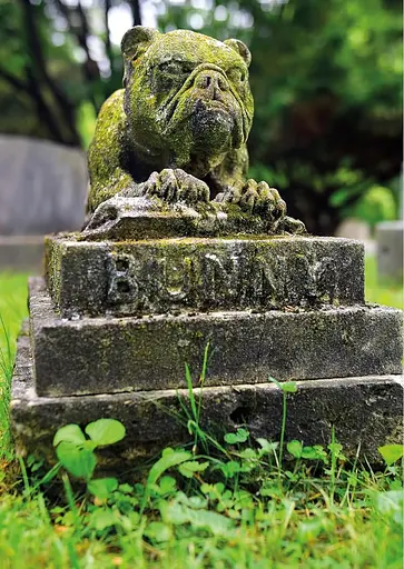 Faithful unto Death. Pet cemeteries, animal graves and eternal devotion - фото 18