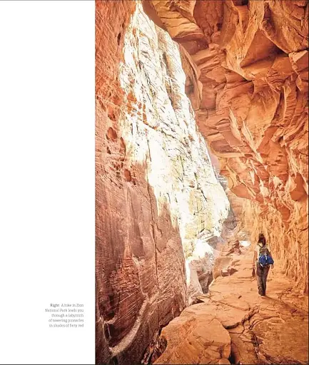 USA National Parks. Lands of Wonder - фото 4