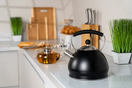 Чайник Black Mars 3 л черный нержавеющая сталь - фото 5