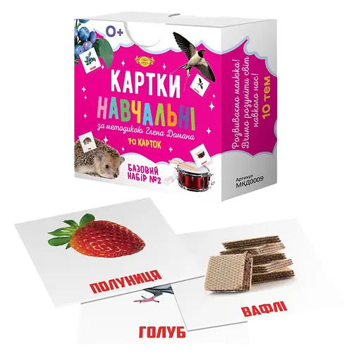 Картки навчальні Глена Домана №2 Майстер MKD0009 рус