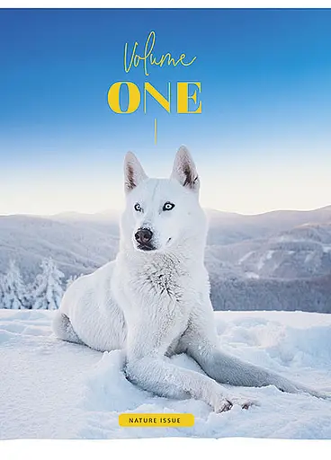 Комплект 4 шт загальних зошитів. Зошит Школярик А5 48 арк. у лінію 5072 4823088219197 - фото 5