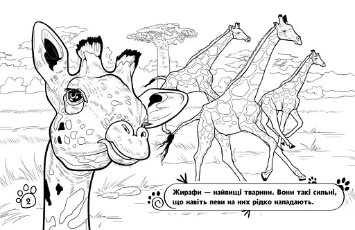Розмальовка з тваринами. Тварини в далеких краях - фото 2