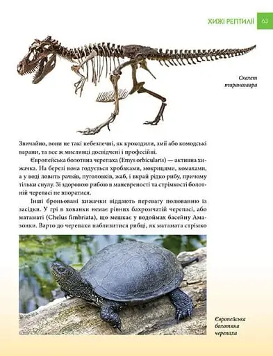 Енциклопедія для допитливих А5 : Найнебезпечніші істоти планети (Українська, 01 КРЕЙДОВАНА ) - фото 11