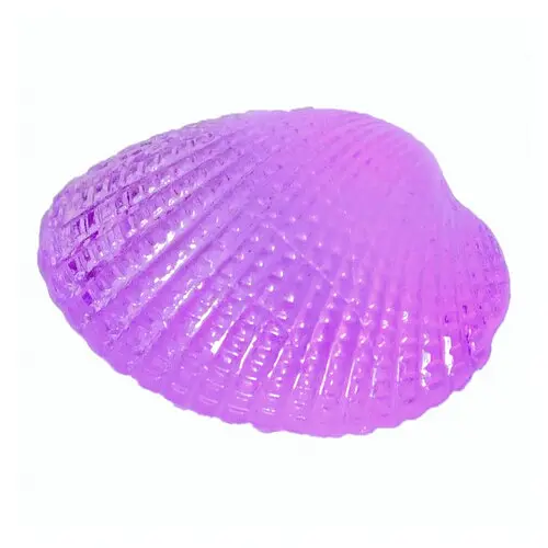 Камушек Ракушка - фото 1