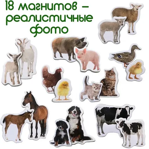 Набір магнітів Magdum "Ферма Мами і малюки" ML4031-08 EN - фото 5
