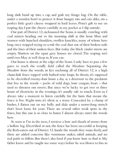 The Hunger Games. Book 1 - фото 3