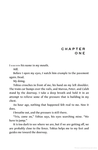 Insurgent. Book 2 - фото 6