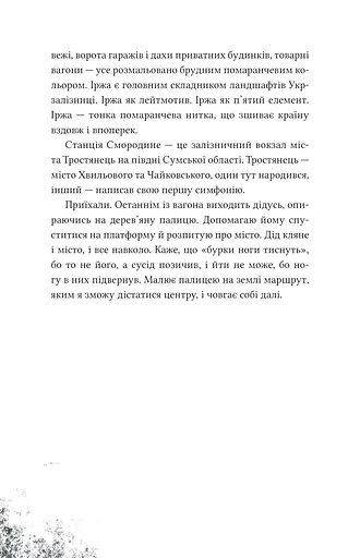 Над прірвою в іржі - фото 9