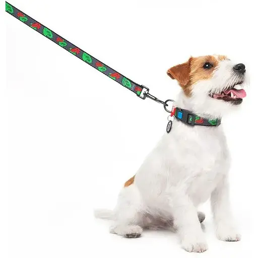 Повідець для собак Waudog Nylon нейлоновий, малюнок "Калина", розмір S - фото 4