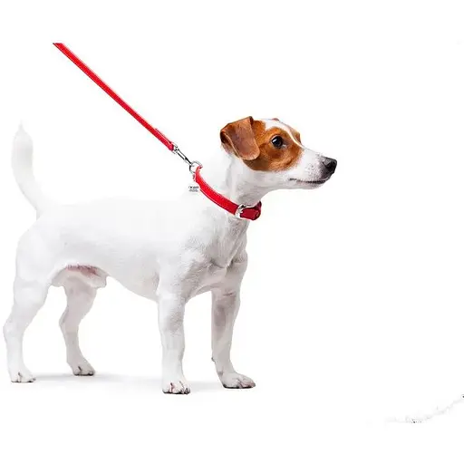 Повідець для собак Waudog Glamour шкіряний, червоний - фото 4