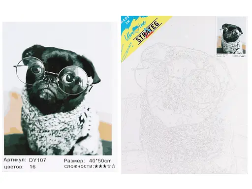 Набор для росписи по номерам Мопсик в очках, Strateg, 40x50 см, DY107