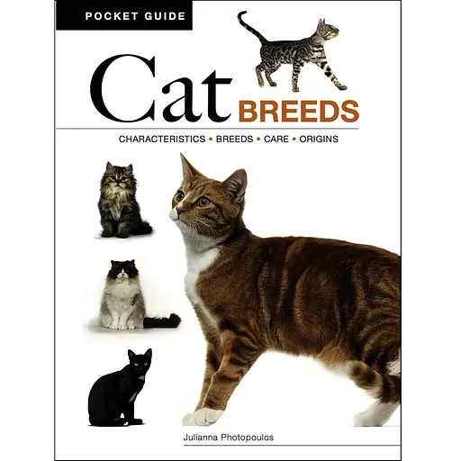 Cat Breeds: Characteristics, Breeds, Care, Origins - Фотопулос Джулианна - фото 1