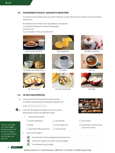 Akademie Duetsch A1+ Intensivlehrwerk Band 1 - фото 3