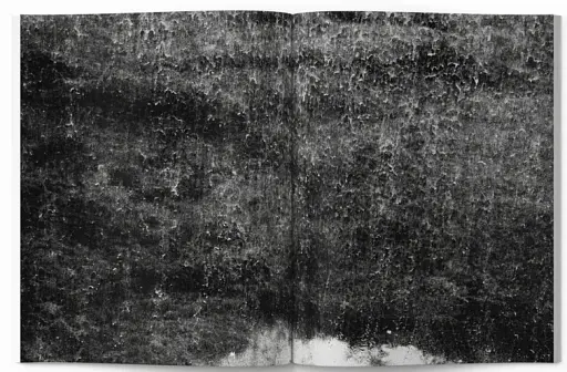 From Dusk Till Dawn - фото 6