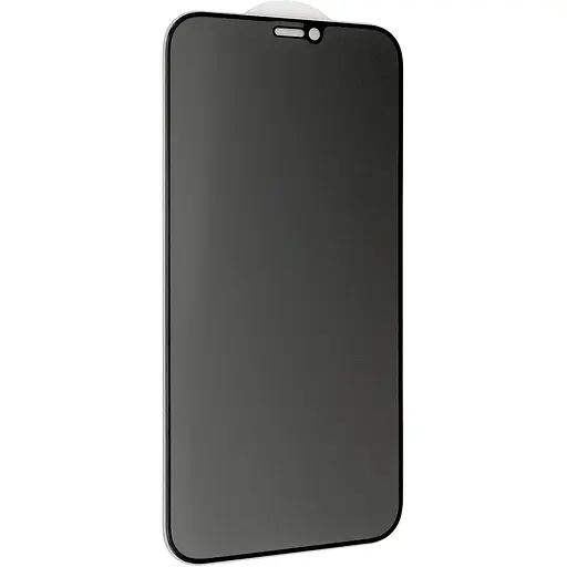 Защитное стекло DK Full Glue Антишпион для Apple iPhone X/XS/11 Pro black