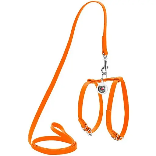 Шлея з повідцем для собак Waudog Glamour шкіряна з QR паспортом, помаранчевий