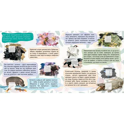 Тварини 100 цікавинок - К. Шаповалова (9789669892683) - фото 4