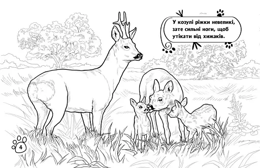 Розмальовка з тваринами. Тварини в лісі - фото 3