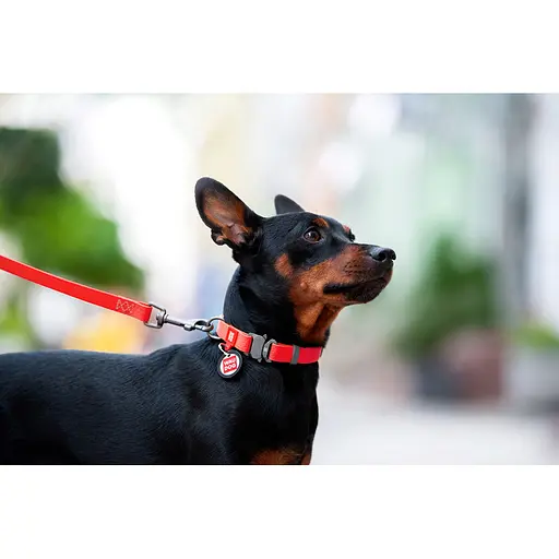 Нашийник для собак водостійкий Waudog Waterproof з QR-паспортом металічна пряжка-фастекс Ш 25 мм Д 38-58 см червоний - фото 5
