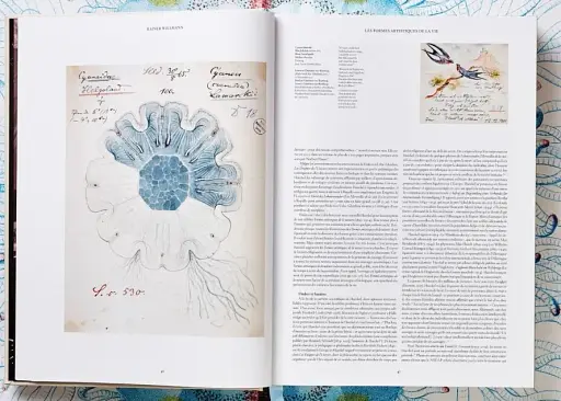 The Art and Science of Ernst Haeckel - фото 4
