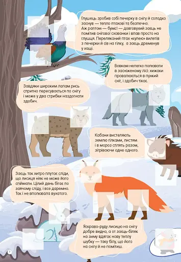 Світ навколо: У лісі - фото 4