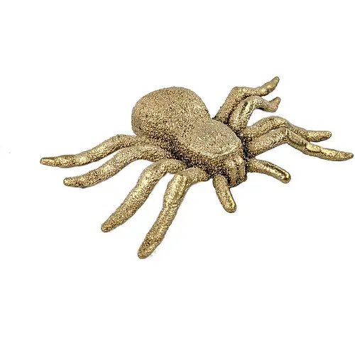 Паук блестящий - фото 1