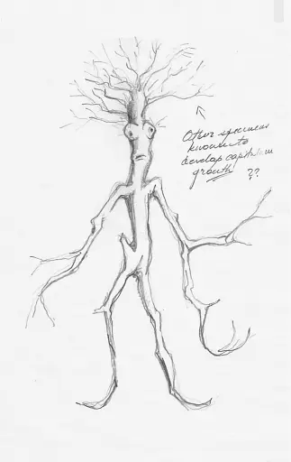 Фантастичні звірі: Таємниці Дамблдора. Оригінальний сценарій - фото 4