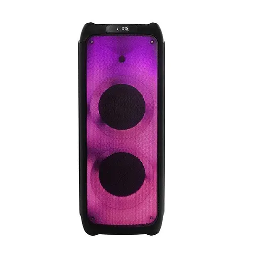 Портативна колонка ZXX-5508 Акустична система 1000Вт RGB підсвічування з 2 мікрофонами і пультом 2х8" Чорний - фото 4