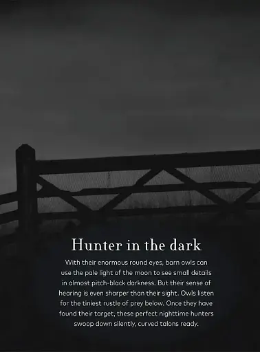 Through the Animal Kingdom - фото 4