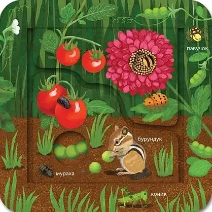 Хто живе на фермі? Зазирни у віконечко - фото 3