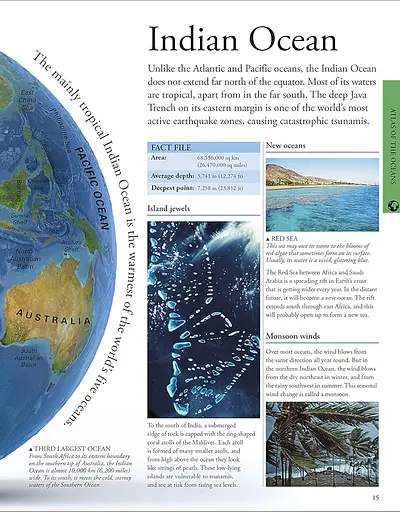 Ocean. A Children's Encyclopedia - фото 3