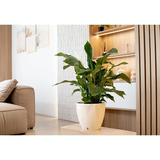 Вазон Santino Deco Twin 12 л кремовый (2023131) - фото 8