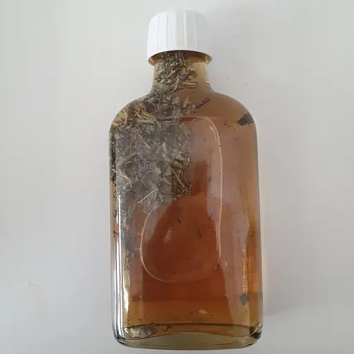 Настоянка на траві шавлія 200 мл - фото 2