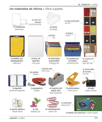 Spanish-English Visual Bilingual Dictionary with Free Audio APP - фото 10