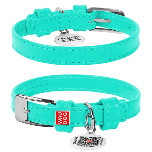 Ошейник для собак кожаный Waudog Glamour с QR-паспортом без украшений XS Ш 12 мм Д 21-29 см ментоловый