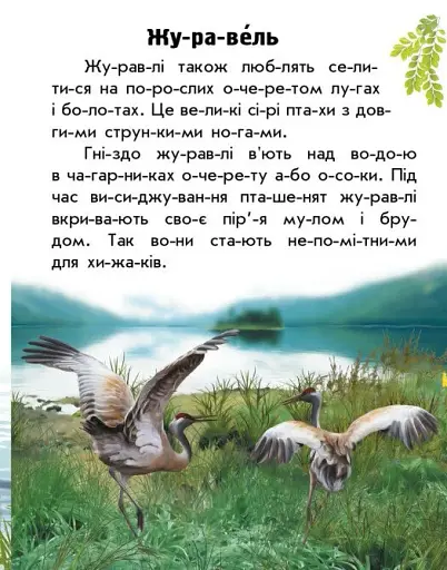Читаю про Україну. Тварини степів - фото 5