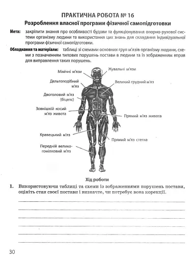 Біологія і екологія. Профільний рівень. Зошит для практичних робіт. 11 клас - фото 11