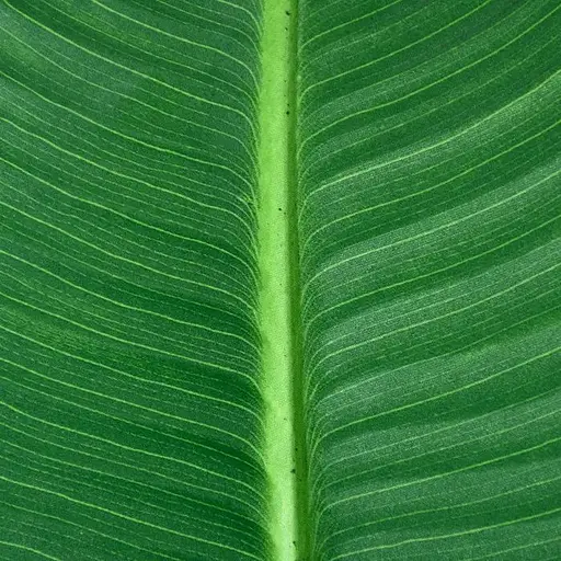 Штучна рослина Engard Banana Tree 155 см (TW-09) - фото 2