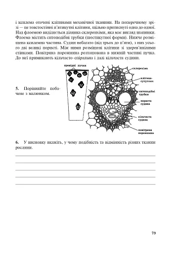 Біологія. Робочий зошит. Рівень стандарту. 10 клас - фото 9