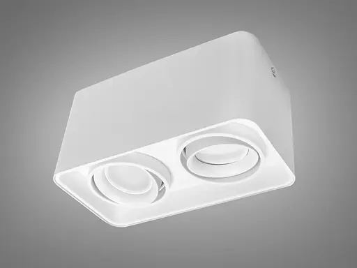 Накладний точковий світильник Diasha - фото 1