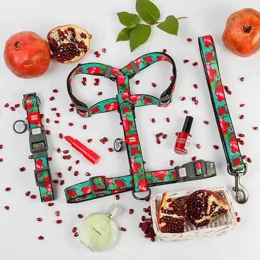 Нашийник для собак нейлоновий Waudog Nylon з QR-паспортом "Гранати" пластиковий фастекс XXL Ш 35 мм Д 46-70 см - фото 2