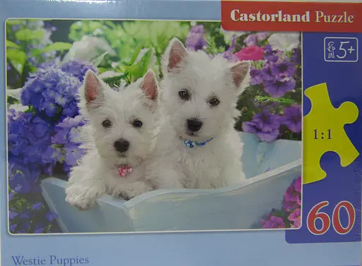 Пазлы Castorland Щенки, 60 элементов, 32x23 см, B-066100