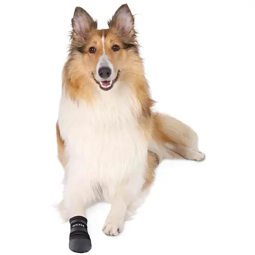 Уцінка. Черевики для собак Trixie Walker Care поліестер чорні XL 2 шт. - фото 3