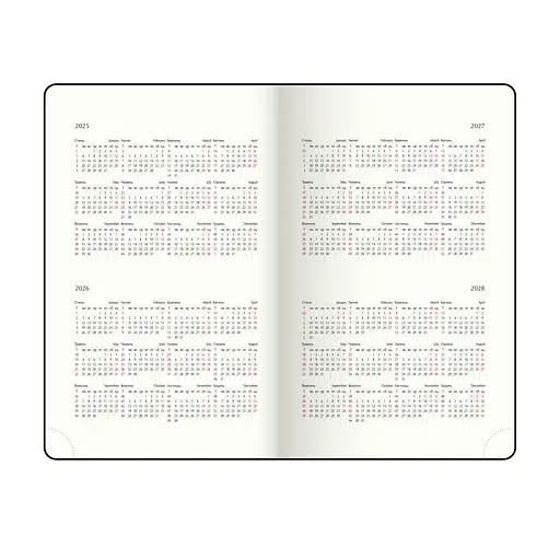 Ежедневник датированный Buromax Combi 2026 A5 серый (BM.2191-09) - фото 15