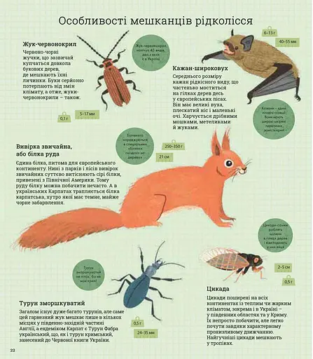 Як допомогти їжачкові та захистити полярного ведмедя - фото 4