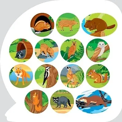 Пізнавальні наліпки. Тварини Північної Америки - фото 5